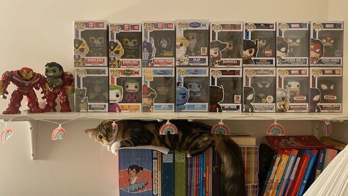 popnculture author Ahmed's funko pop collection